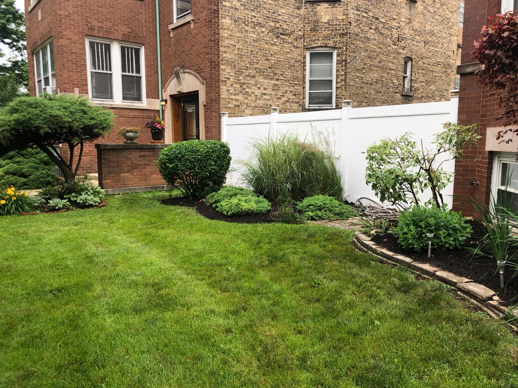 Yard Landscaping Project